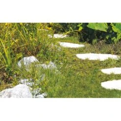 Einhell Akku-Gras- Und Strauchschere GC-CG 3,6 Li 18 Einhell Akku-Gras- Und Strauchschere GC-CG 3,6 Li -Obi Verkäufe 508839 2171 7