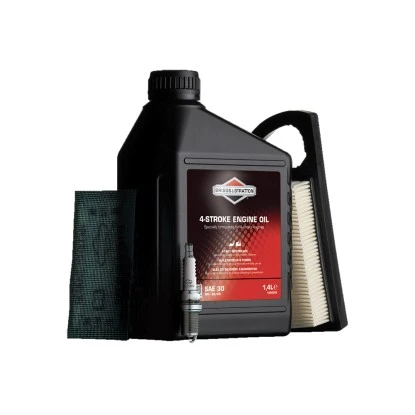 Wartungskit Briggs & Stratton 1 Wartungskit Briggs & Stratton