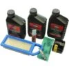Wartungs-Kit Briggs & Stratton 24 Wartungs-Kit Briggs & Stratton -Obi Verkäufe 551565 1159 1